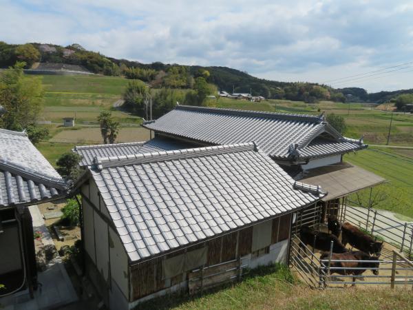 兵庫県洲本市　屋根瓦葺き替えリフォーム工事