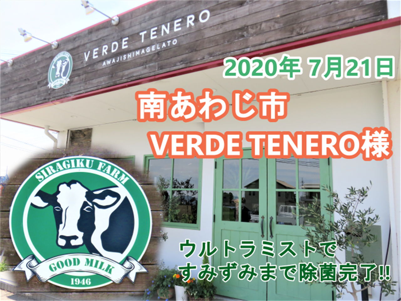 VERDE TENERO様